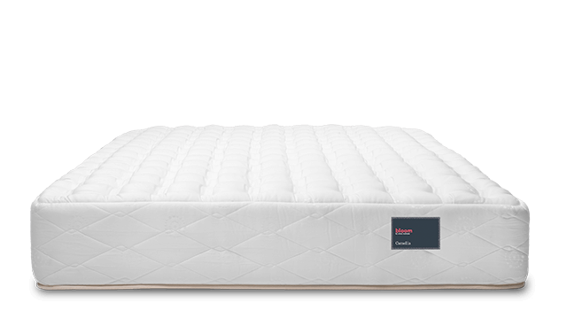 The Camellia Mattress by Bloom